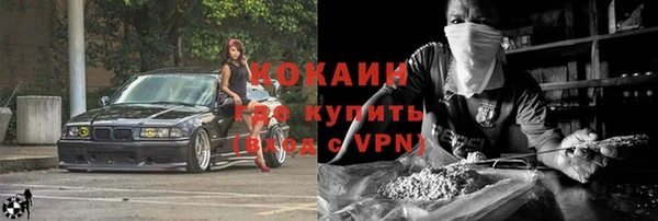 стафф Заводоуковск
