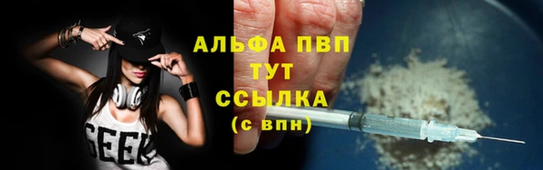 стафф Заводоуковск
