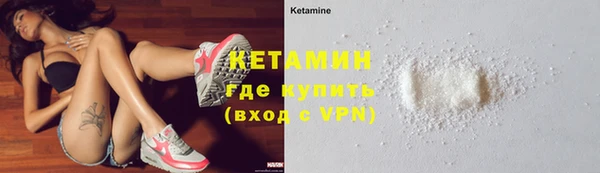 стафф Заводоуковск