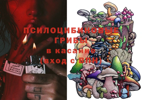 стафф Заводоуковск