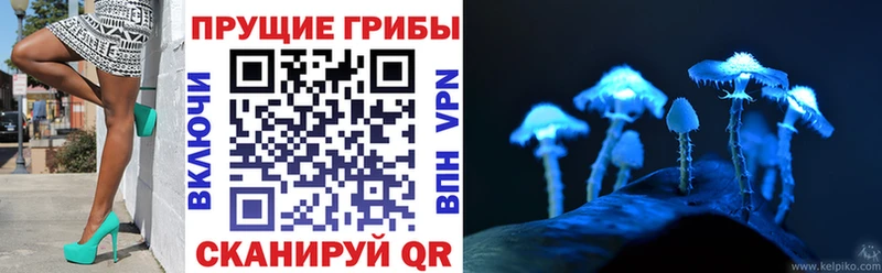 Купить закладки  Новая Усмань  Галлюциногенные грибы мицелий 